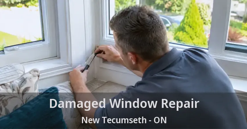 Damaged Window Repair New Tecumseth - ON